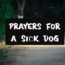 Prayers For A Sick Dog