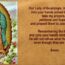 Our Lady Of Guadalupe Story