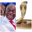 “I was in my office and a cobra was found in my wardrobe" - Bishop David Oyedepo